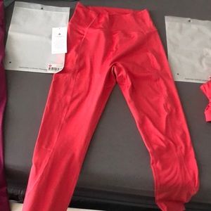 Sapphire Buffbunny Ecoline set- medium